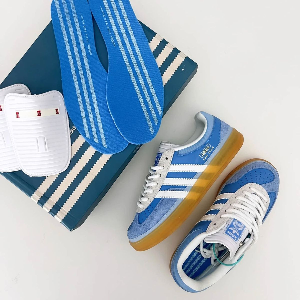 Gazelle Indoor 'San Juan'