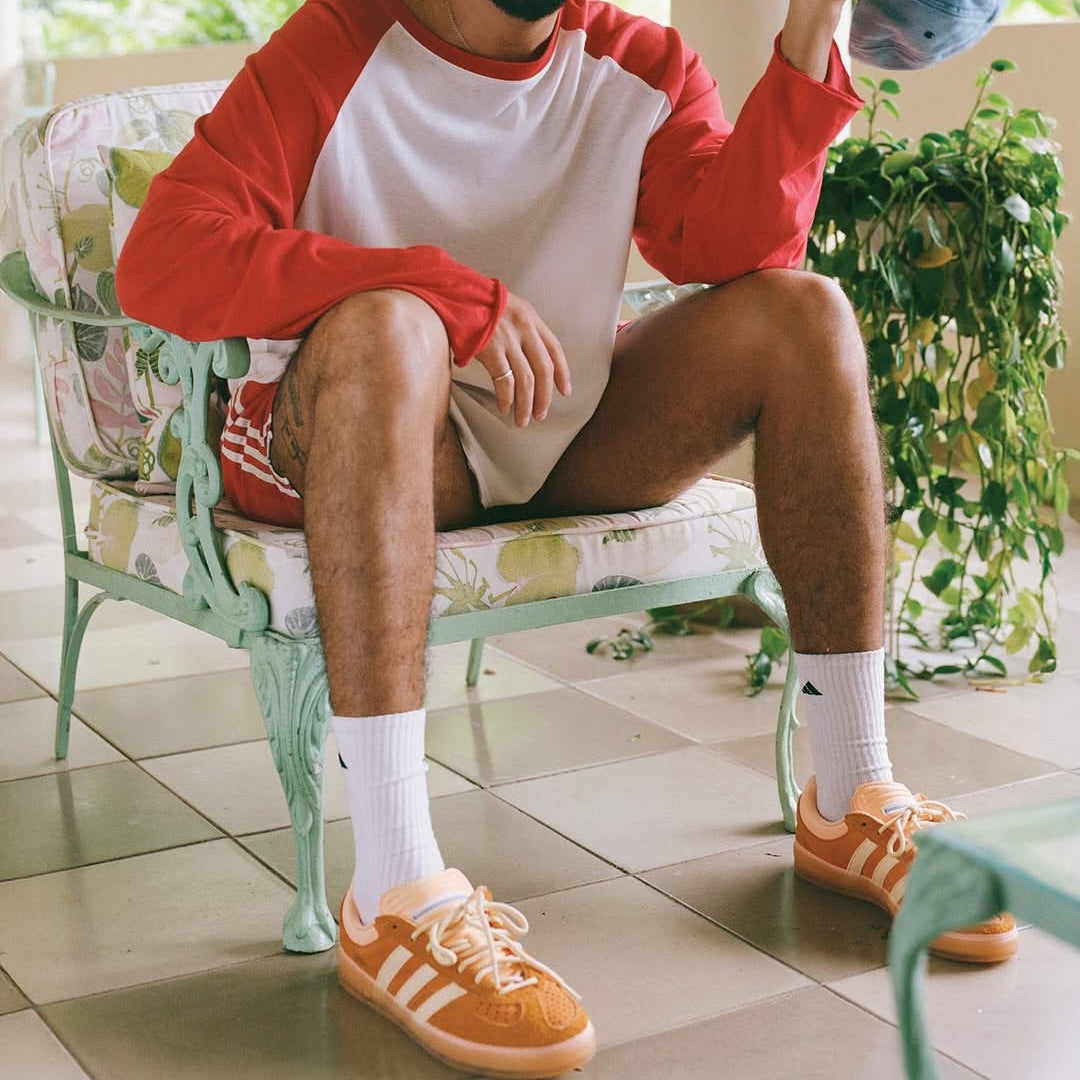 Gazelle Indoor 'Santurce'