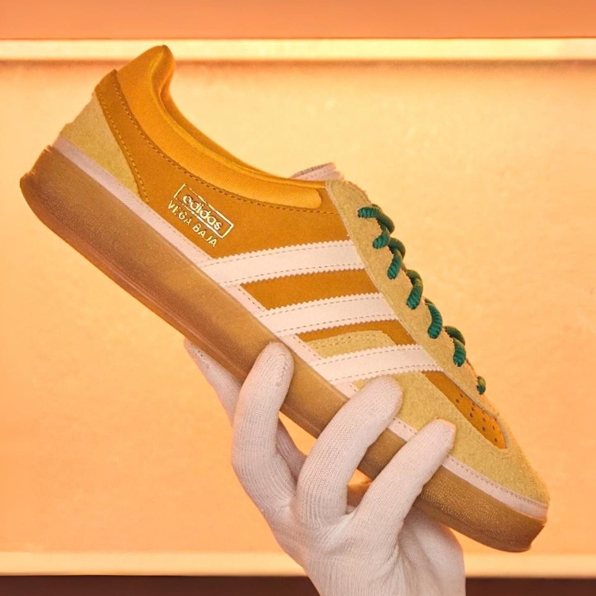 Gazelle Indoor 'Vega Baja'